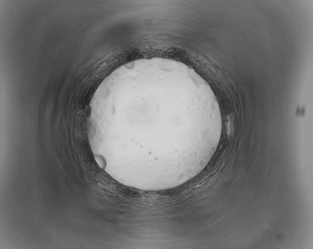 X0000095521059200801111431