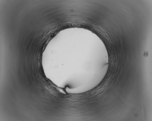 X0000095521060200801111431