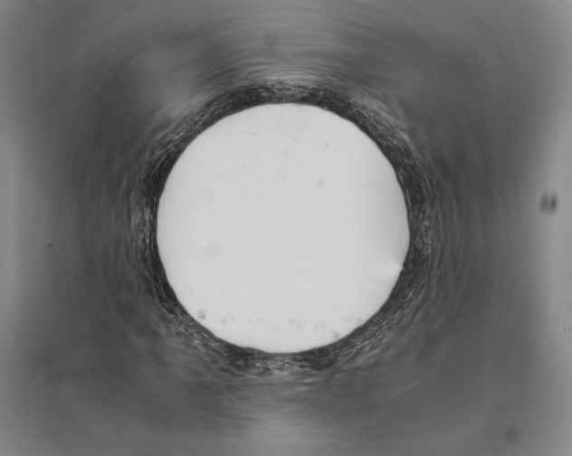 X0000095521061200801111431