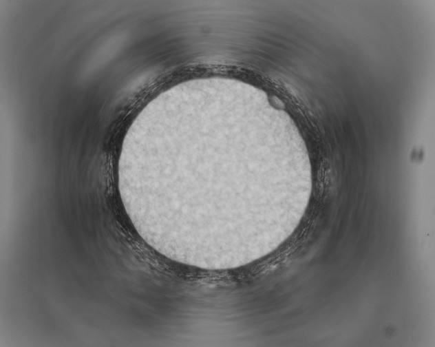 X0000095521062200801111431