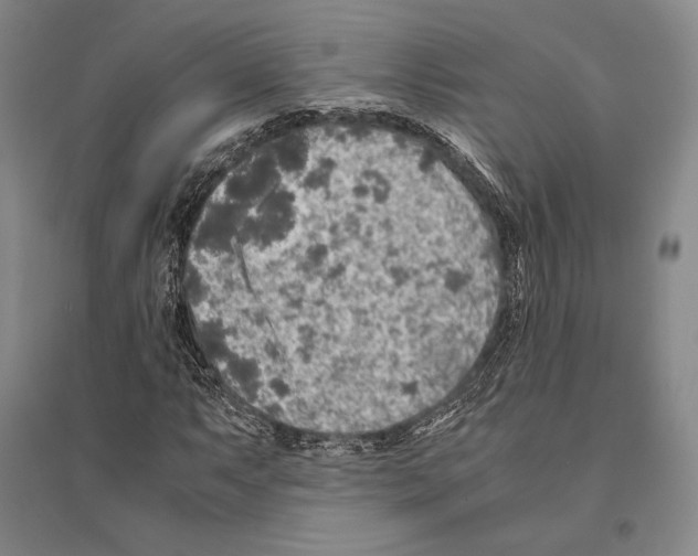 X0000095521063200801111431