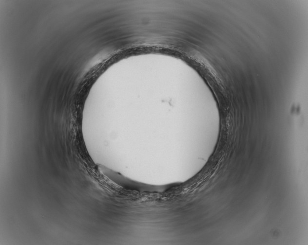 X0000095521064200801111431