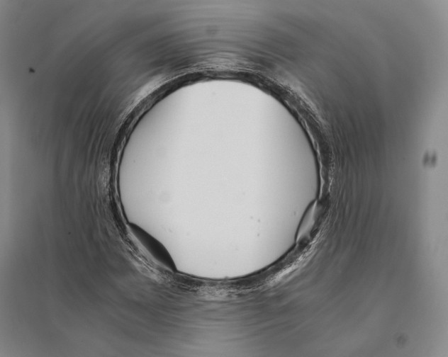 X0000095521065200801111431