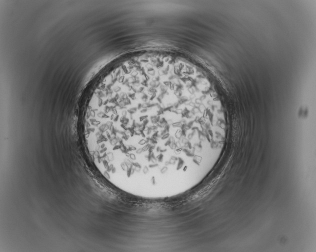 X0000095521066200801111431