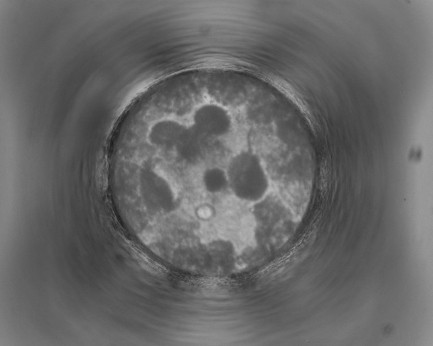 X0000095521067200801111431