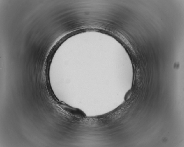 X0000095521068200801111431