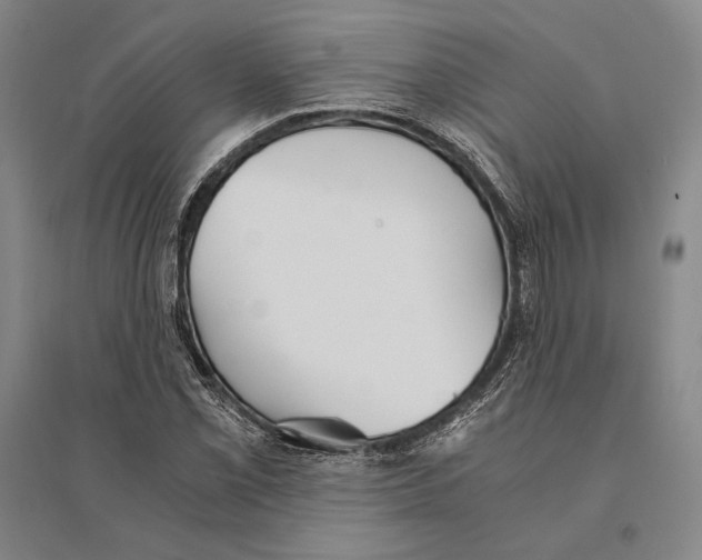 X0000095521069200801111431