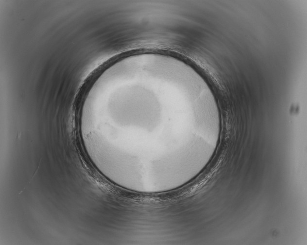 X0000095521070200801111431