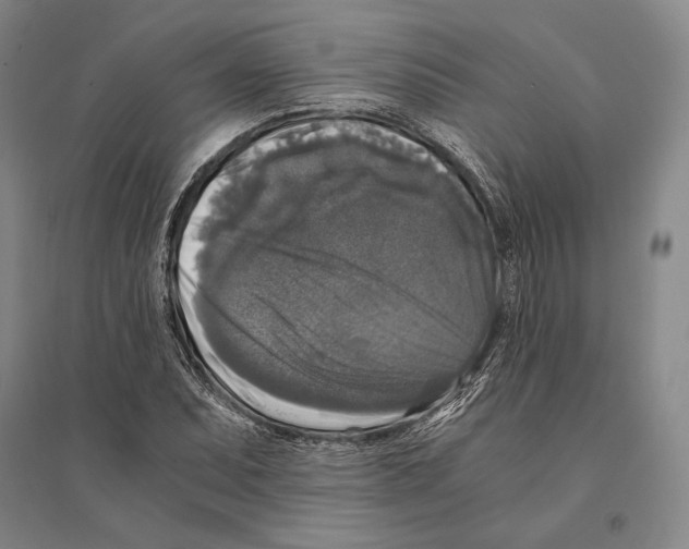 X0000095521071200801111431