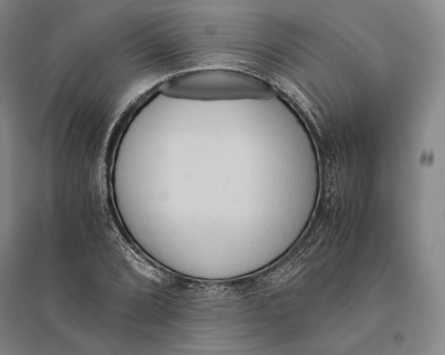 X0000095521072200801111431