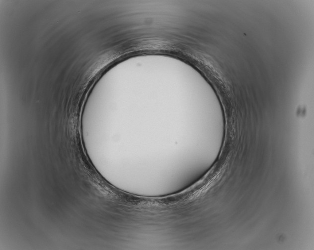 X0000095521073200801111431