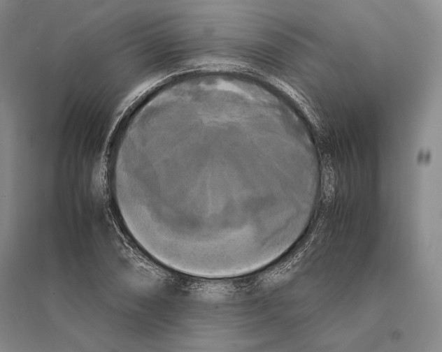 X0000095521074200801111431