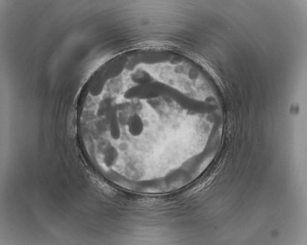 X0000095521075200801111431