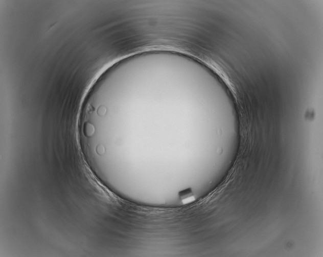 X0000095521076200801111431