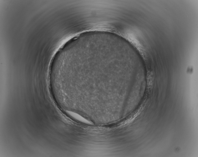 X0000095521077200801111431