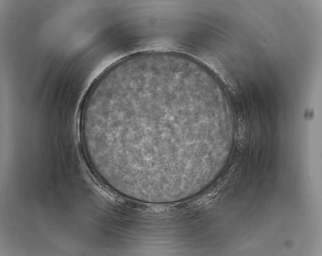 X0000095521078200801111431