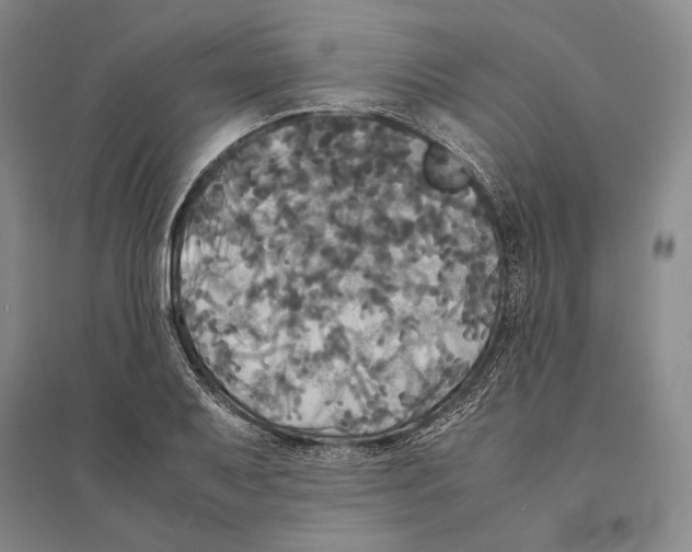 X0000095521079200801111431