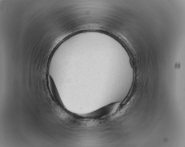 X0000095521081200801111430