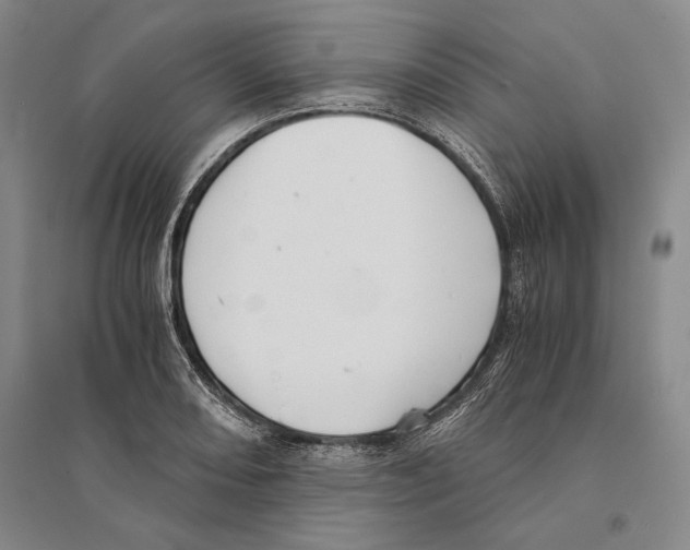 X0000095521082200801111430