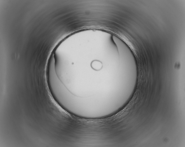 X0000095521084200801111430