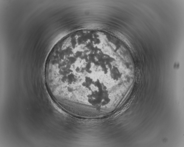 X0000095521087200801111430