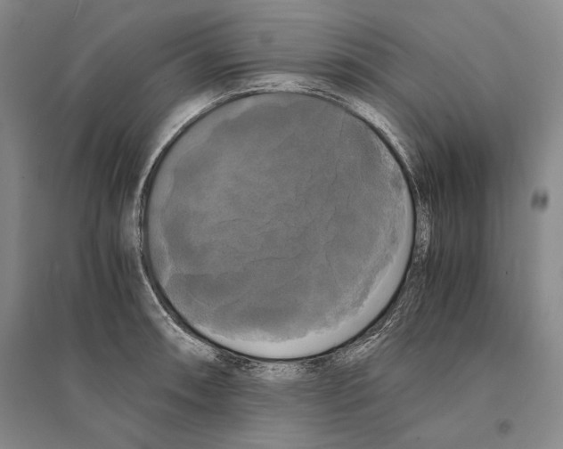 X0000095521090200801111430