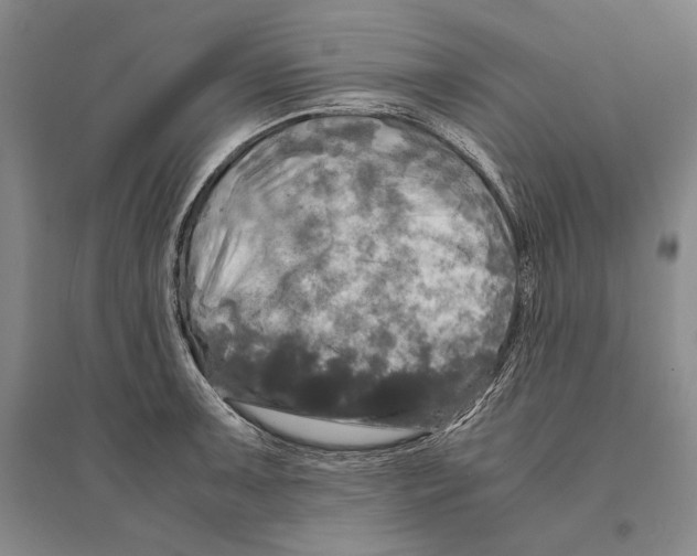 X0000095521091200801111430