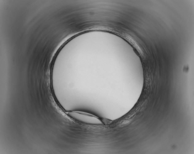 X0000095521092200801111430