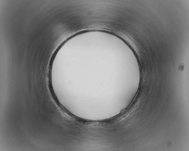 X0000095521093200801111430