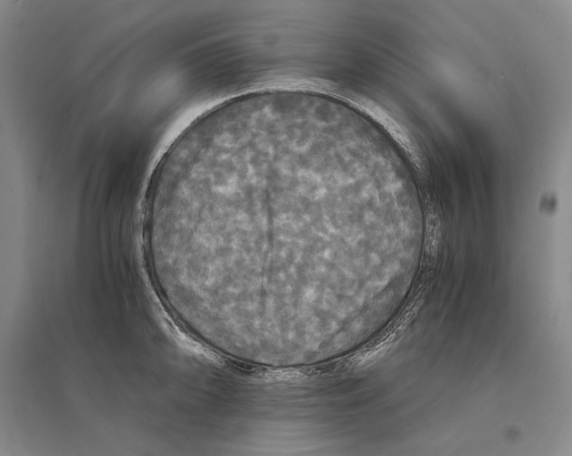 X0000095521094200801111430