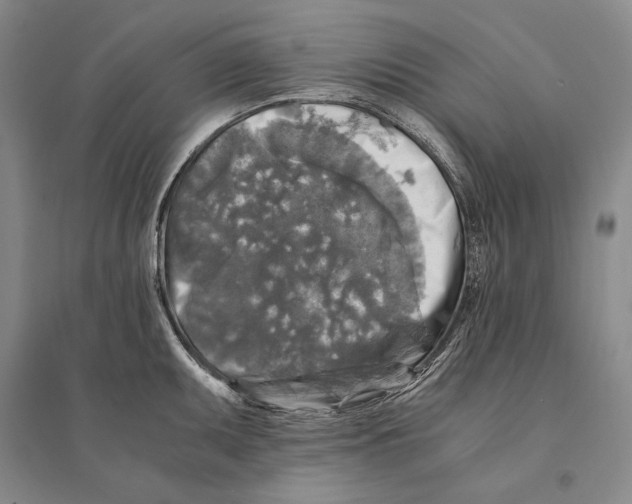 X0000095521095200801111430