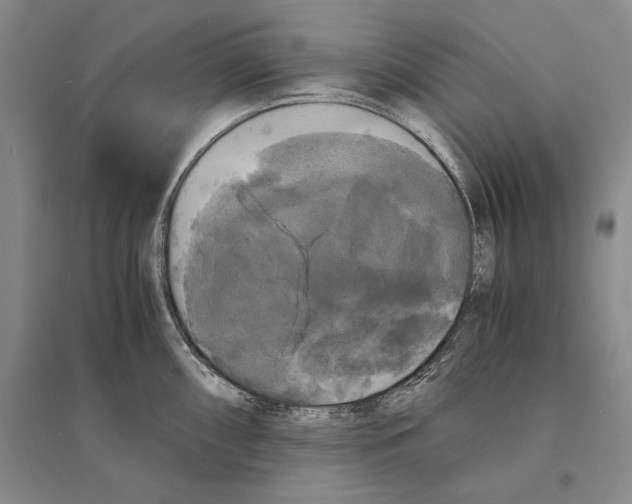 X0000095521098200801111430