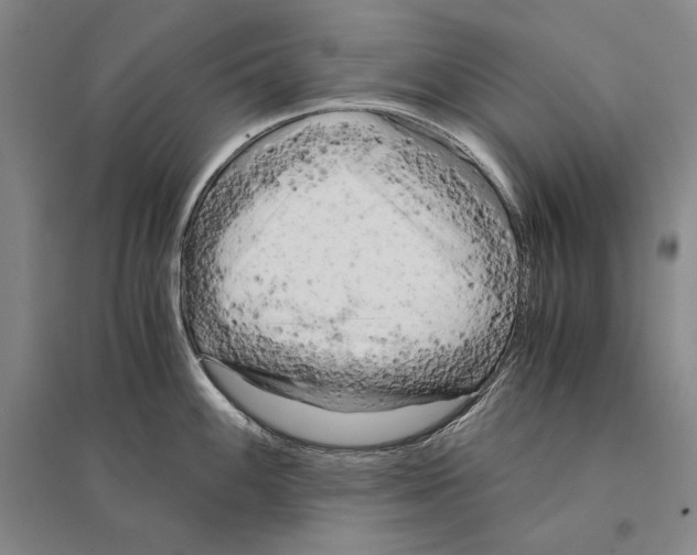 X0000095521100200801111430