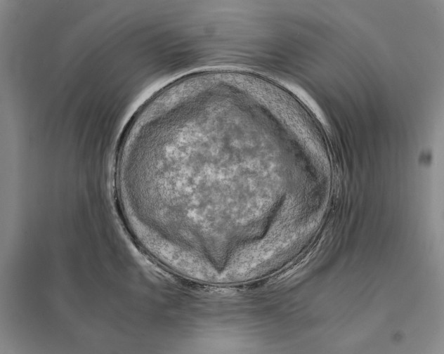 X0000095521101200801111430