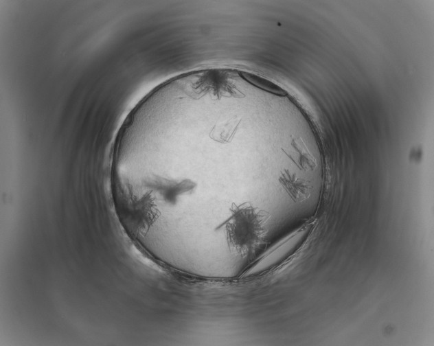 X0000095521102200801111430