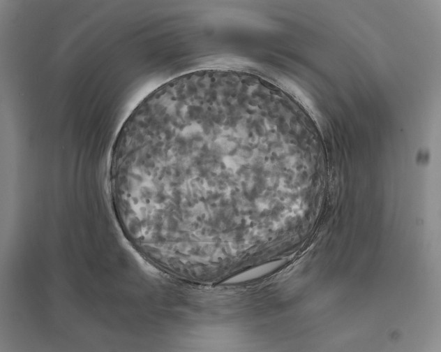 X0000095521103200801111430