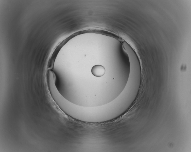 X0000095521104200801111430