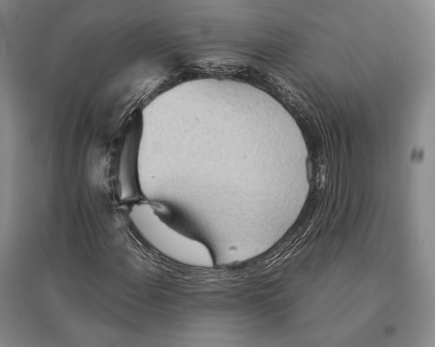 X0000095521108200801111430