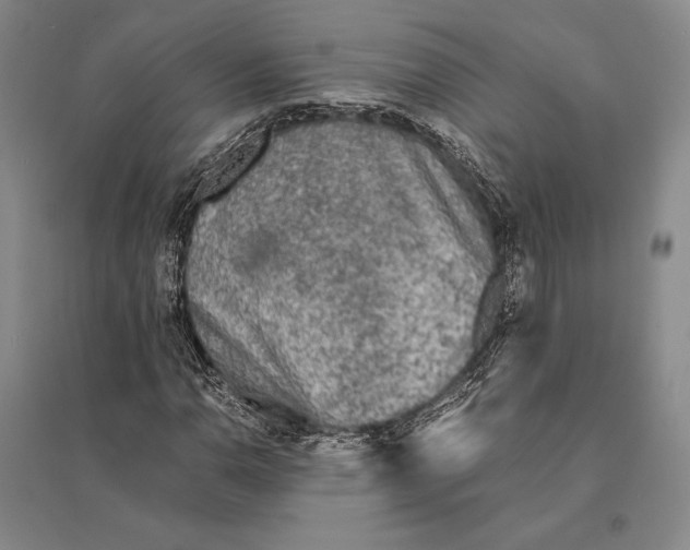 X0000095521110200801111430