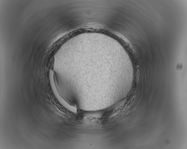 X0000095521112200801111430