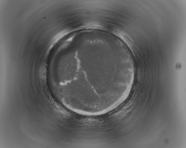 X0000095521115200801111430