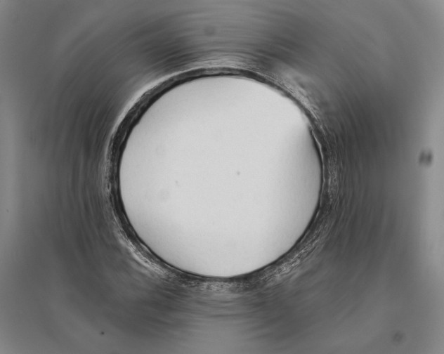 X0000095521116200801111430