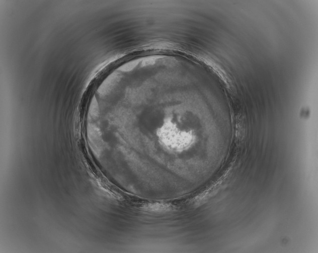 X0000095521117200801111430