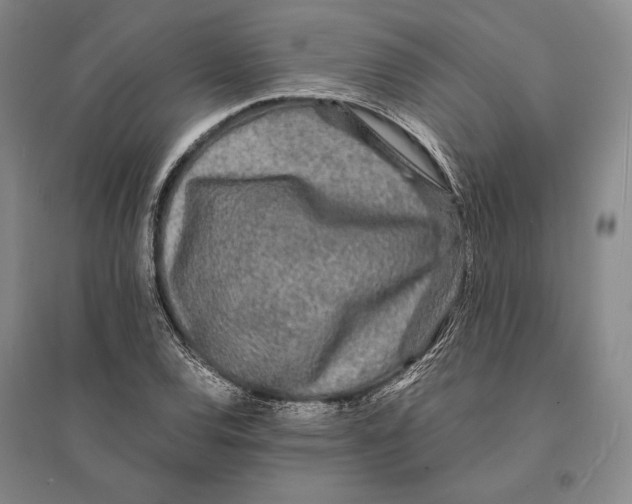 X0000095521120200801111430