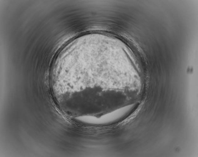 X0000095521121200801111430