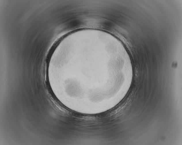 X0000095521123200801111430