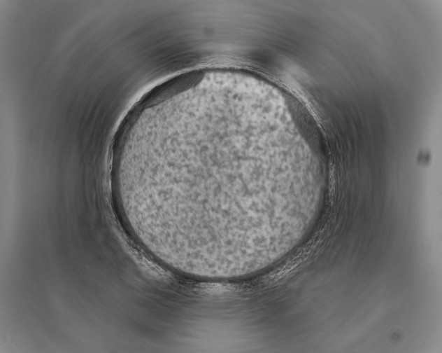 X0000095521124200801111430