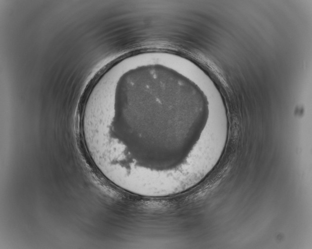 X0000095521125200801111430