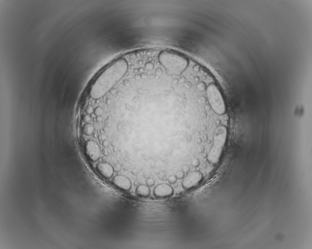 X0000095521126200801111430