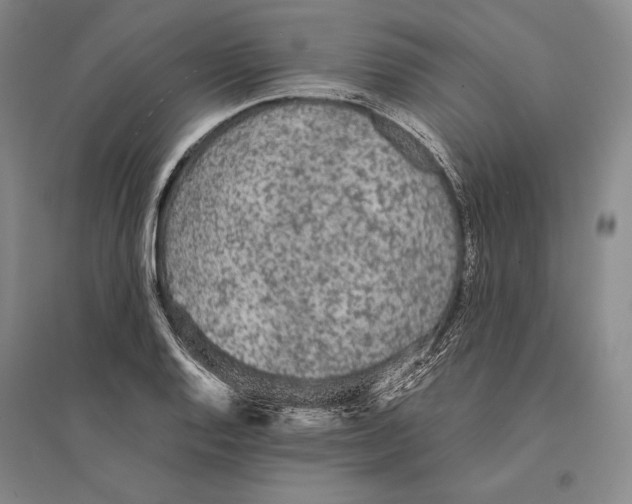 X0000095521128200801111430